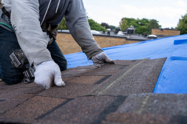 Quick and Trustworthy Emergency Roof Repair Services in Pollock Pines, CA