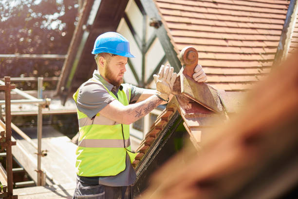 Roof Gutter Cleaning in Pollock Pines, CA